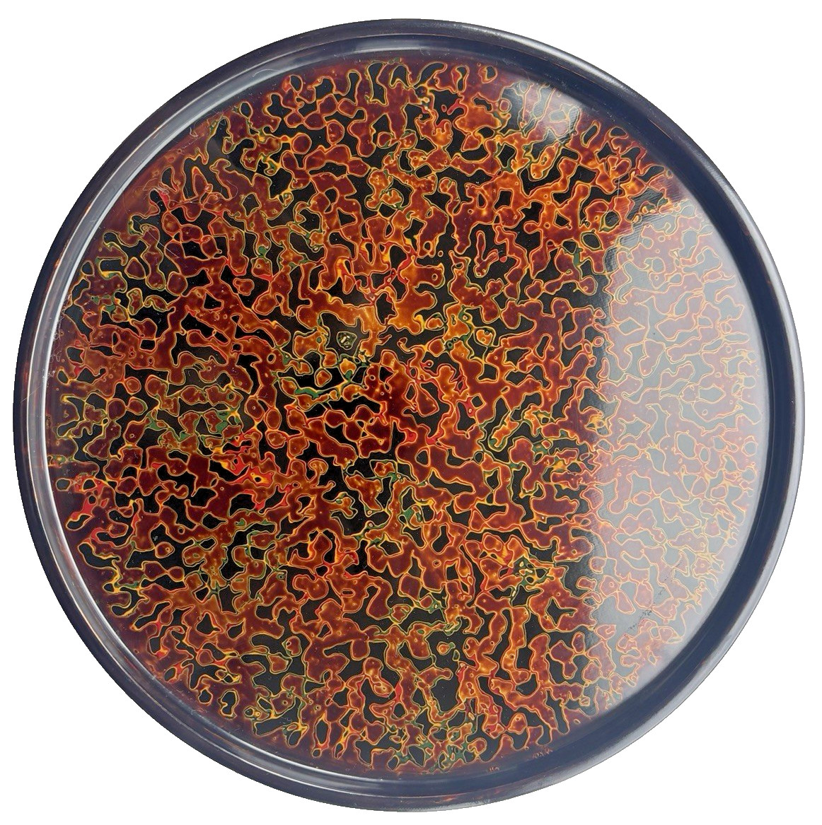 Vintage Japanese Tsugaru Nuri Lacquer Round Plate Marbled 26cm (10inch) Large