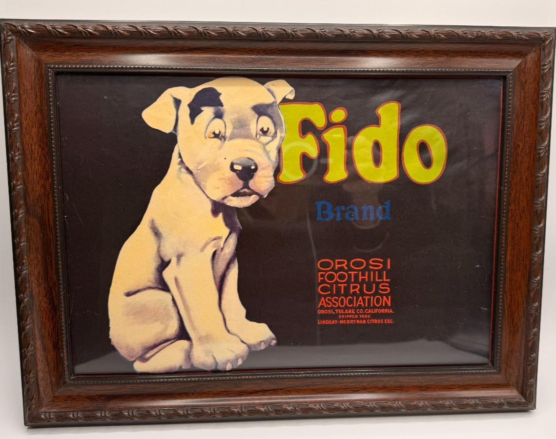 ORIGINAL 1930'S FIDO DOG FRAMED ORANGE CRATE LABEL EXCELLENT CONDITION