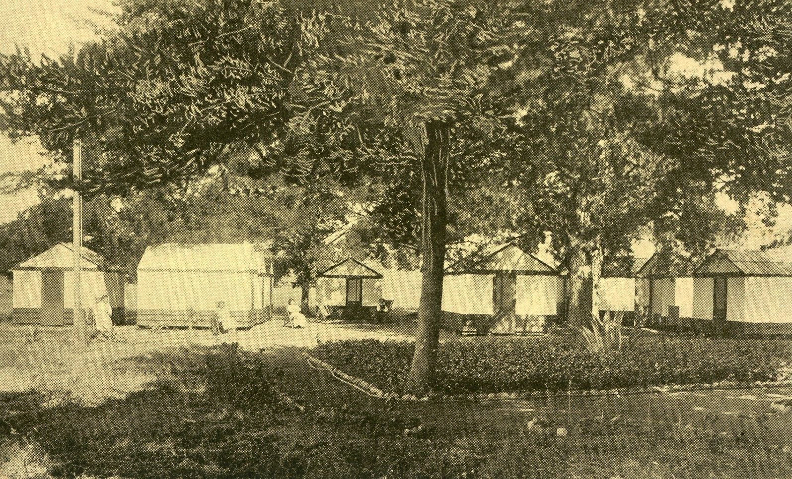 Postcard Early View of Cottages & Tents at Myrtledale Farm, Newberry, SC.   K4