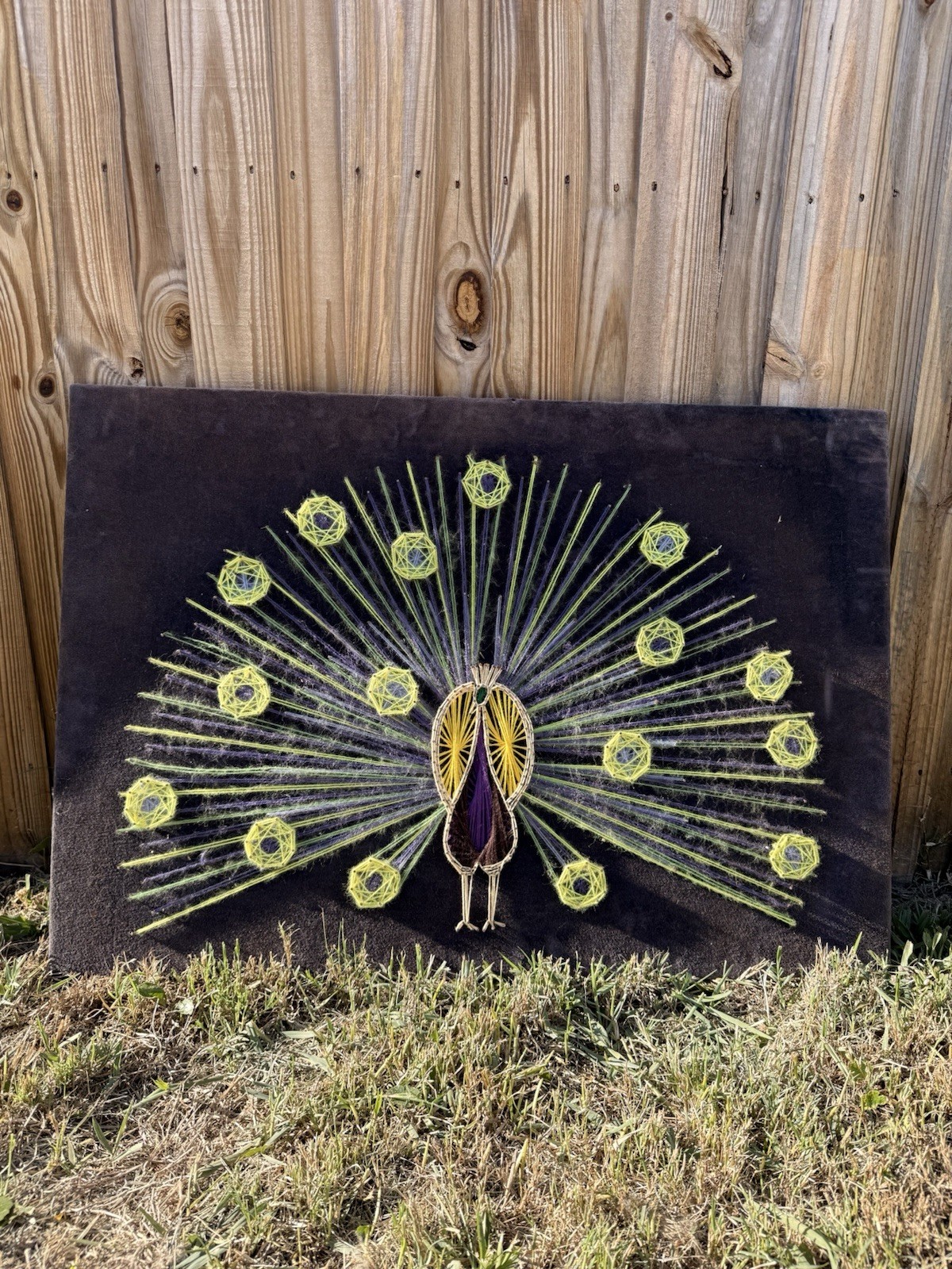 Vintage 70s Peacock String Art