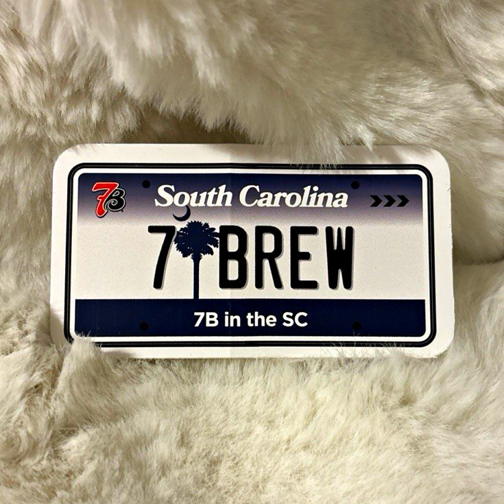 South Carolina SC Mini License Plate \