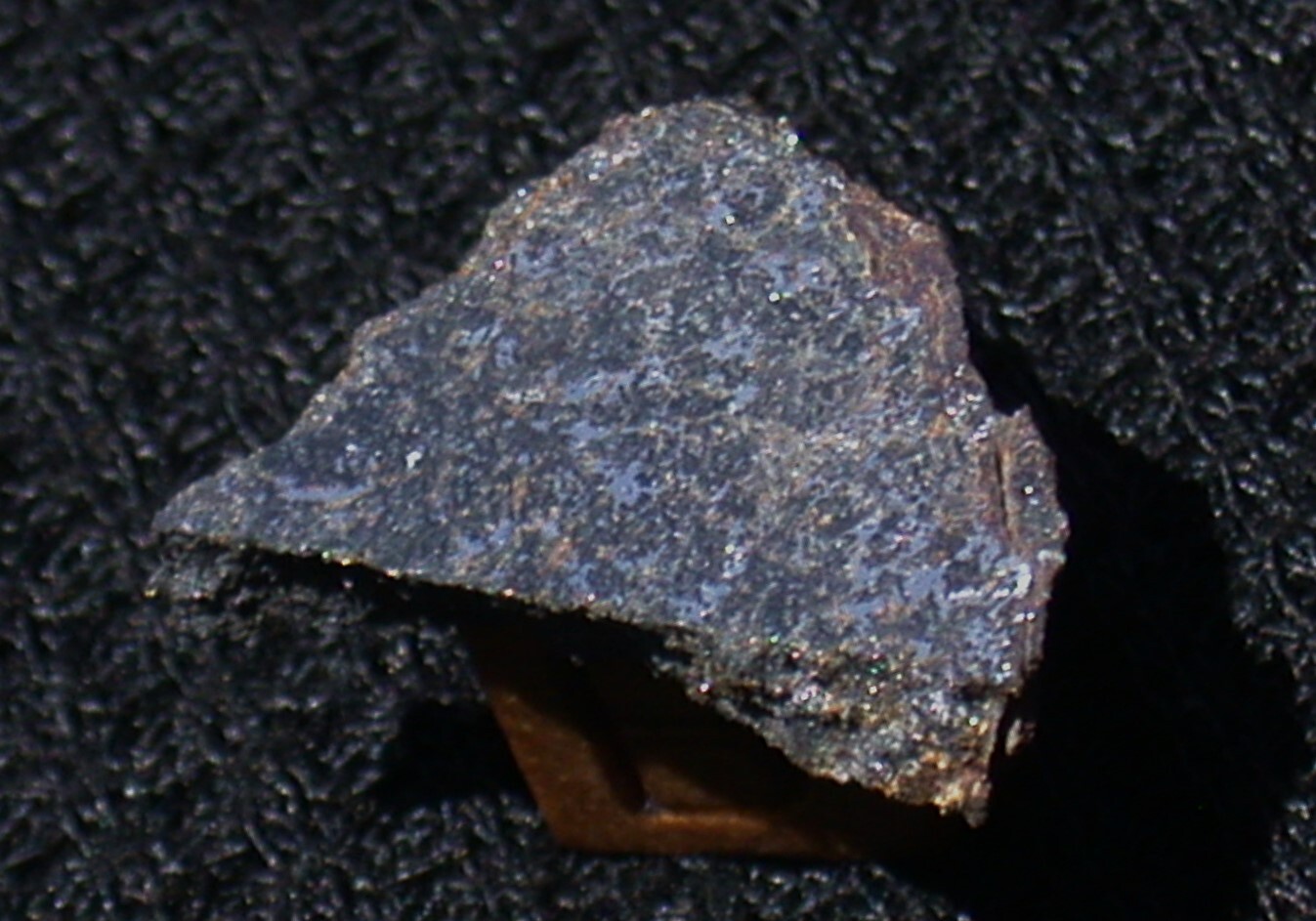 Nice EH6 Enstatite Chondrite w/METALS - NWA 15893 (2.67 g) meteorite part slice