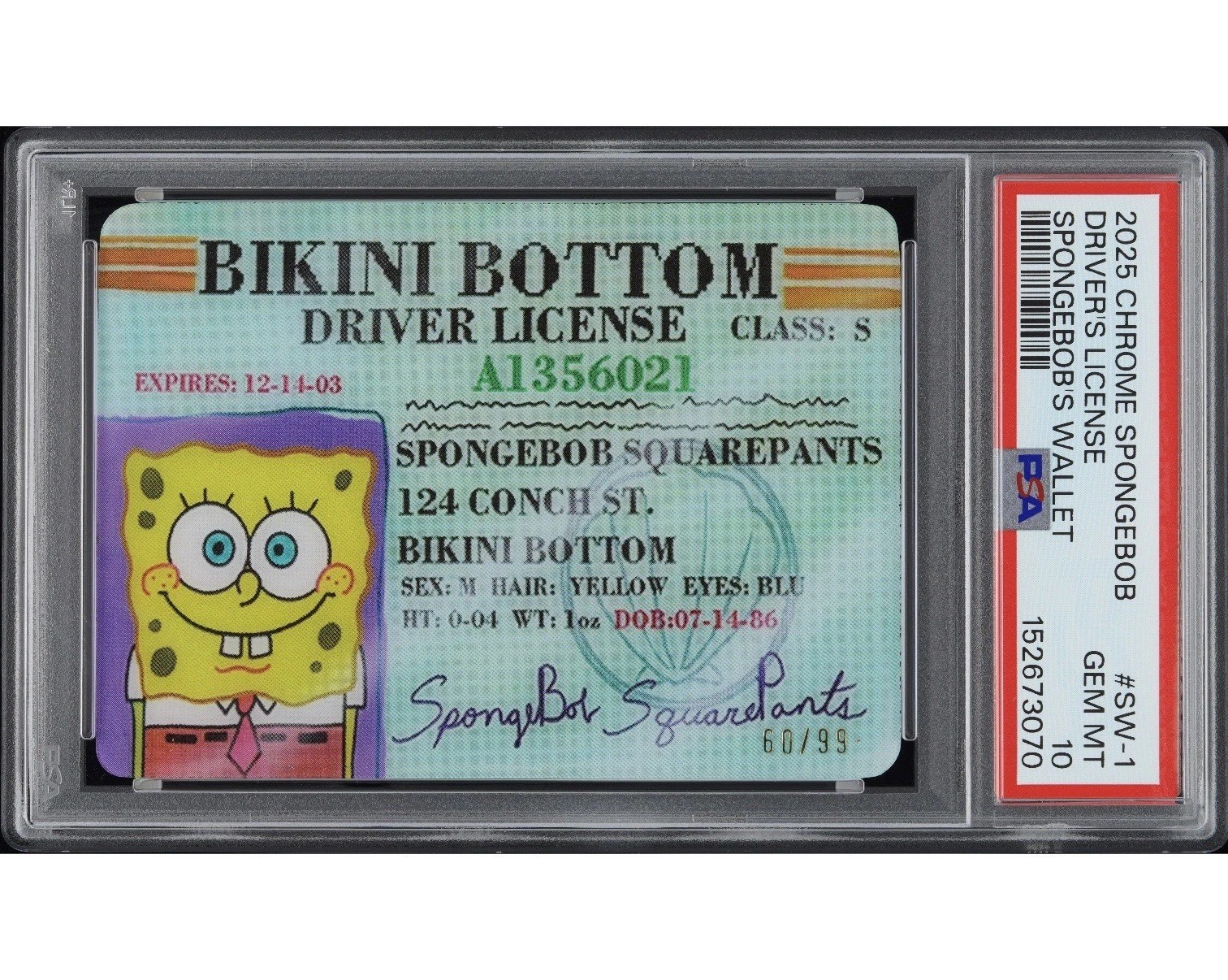 2025 Topps Chrome SpongeBob Driver\'s License #SW-1 PSA 10 60/99