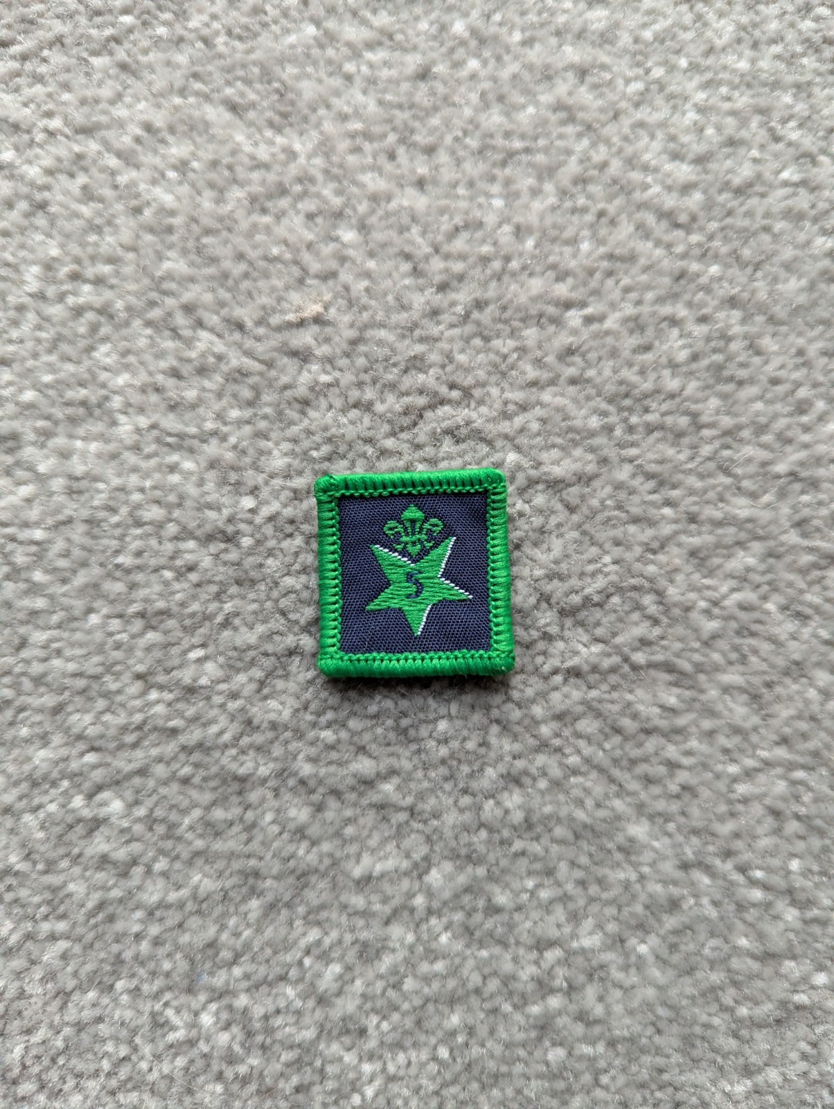 Scout Joining In Level 5 Old Logo New