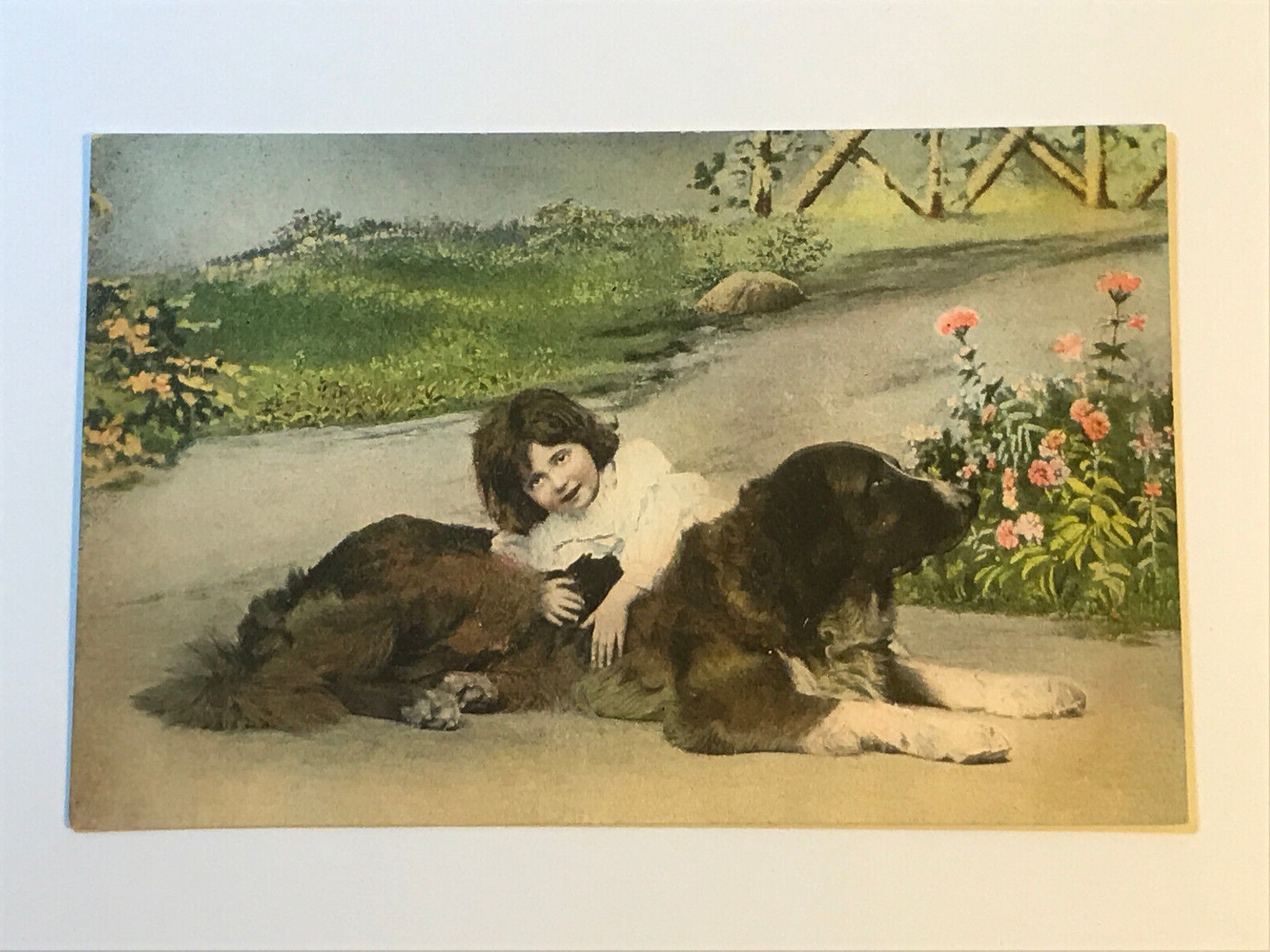 Postcard St Bernard Victorian Child Girl Hand Colored Portrait c1910