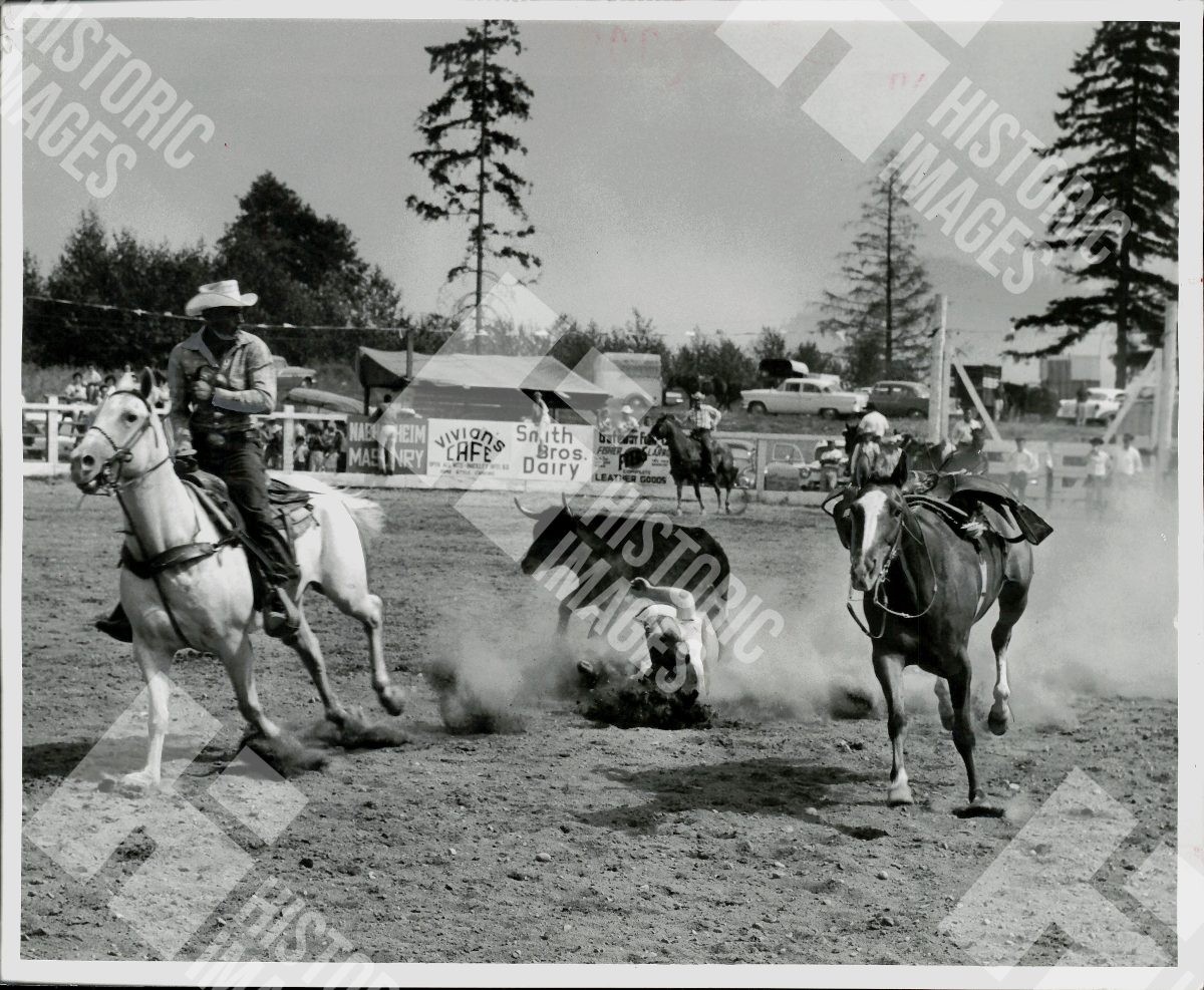 1961 Rodeo event with a man on a horse trying to lasso a bull