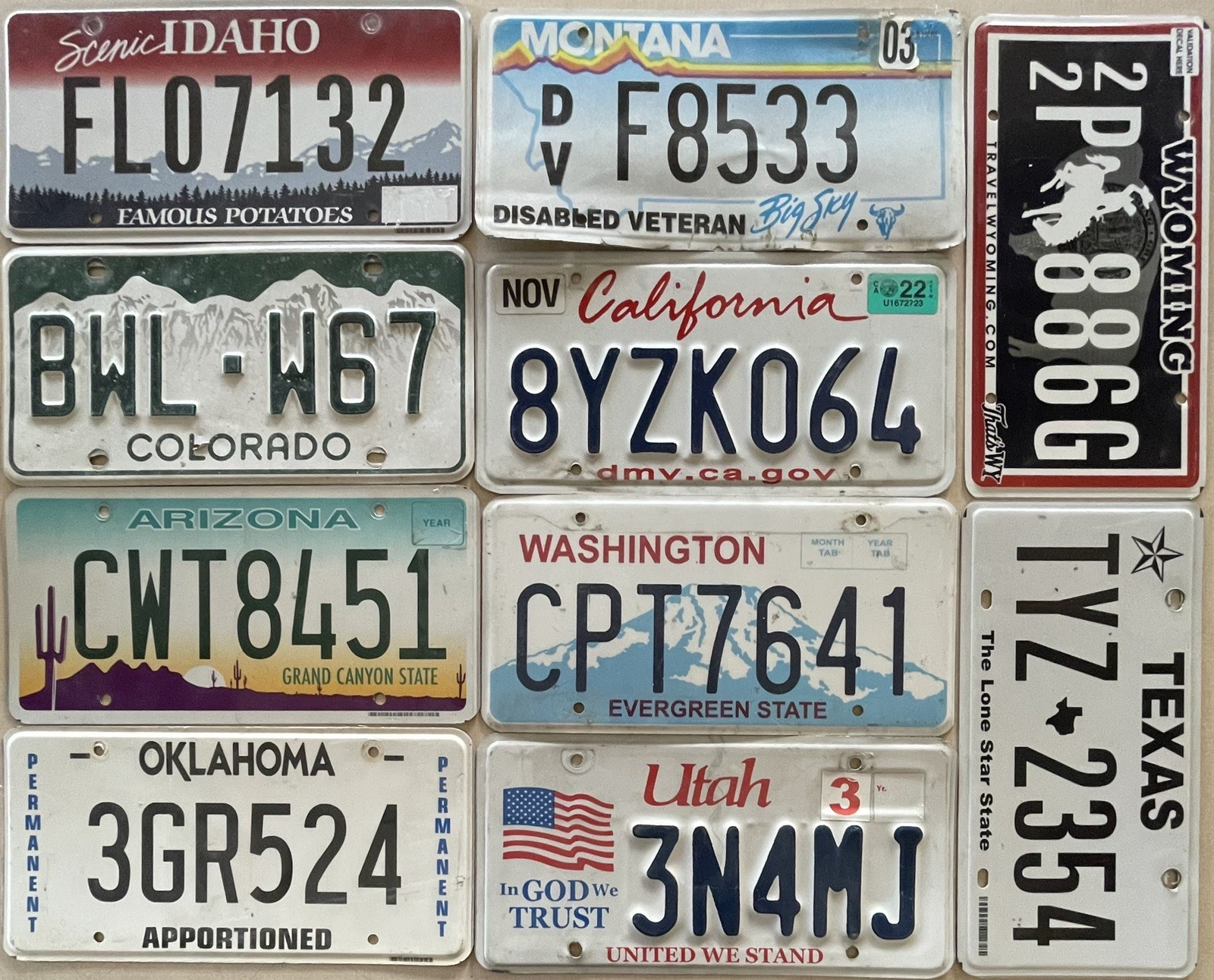 BULK LOT of 10, US mixed states License Plates NICE QUALITY. FAST SHIPPING