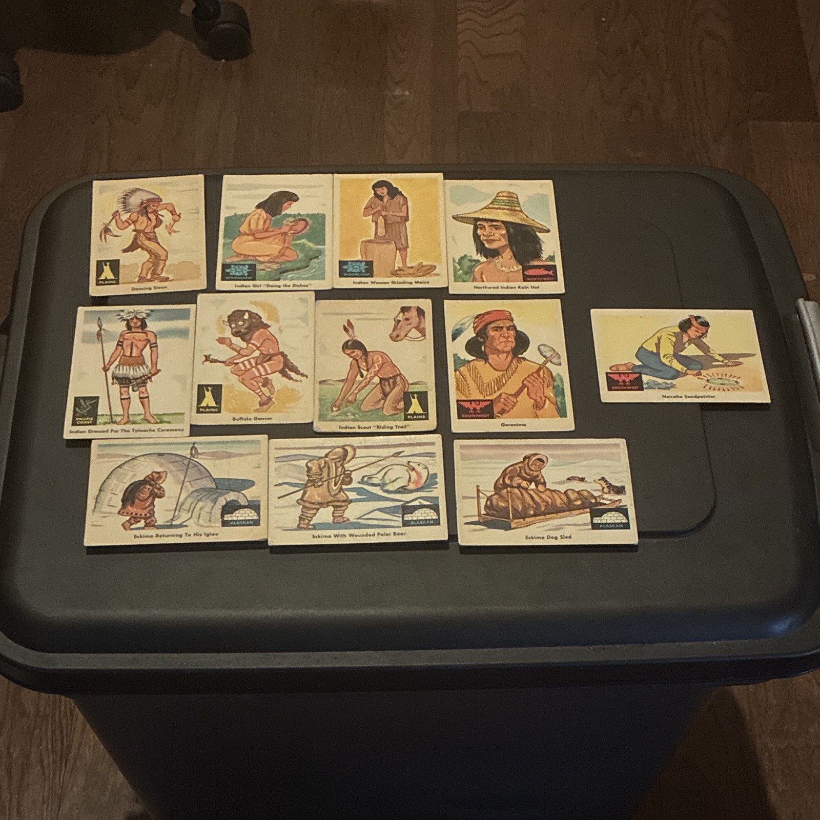 1959 Indian Trading Cards 12 Card Lot #50 Geranimo Included Clean Cards