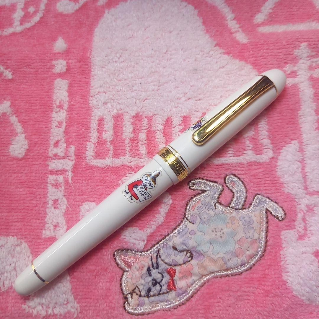 Platinum 3776 [F] Fountain Pen 14K Nib Japan