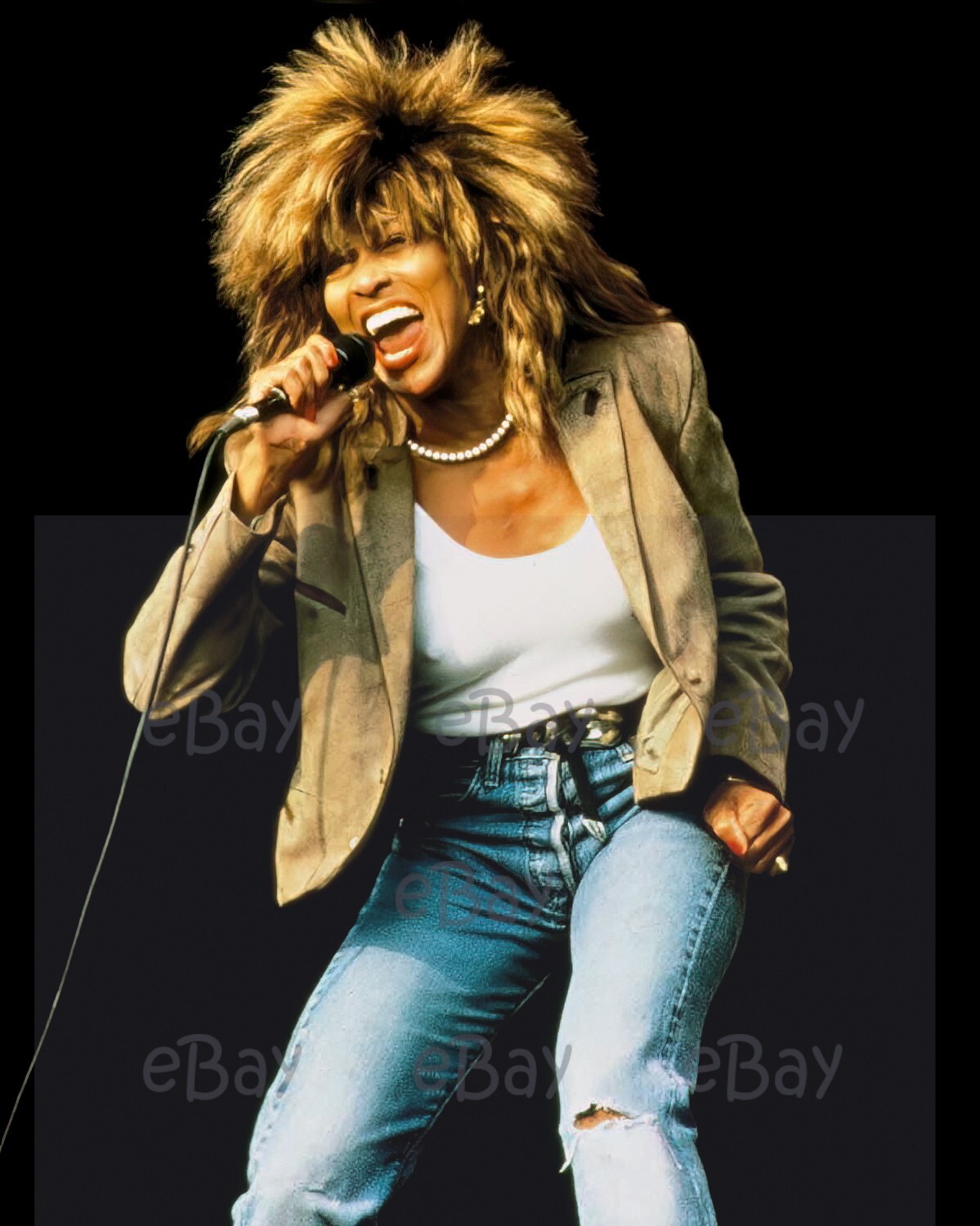 TINA TURNER (10) - SINGER 8X10 PHOTO REPRINT