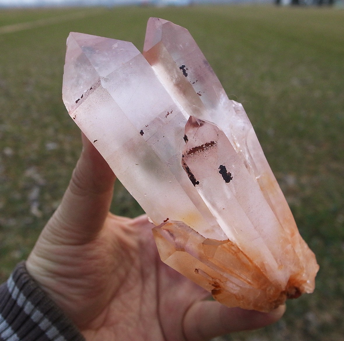 MUSEUM Superb  GEM Elestial Angel PINK Lemurian Quartz Cluster-Angel Wings