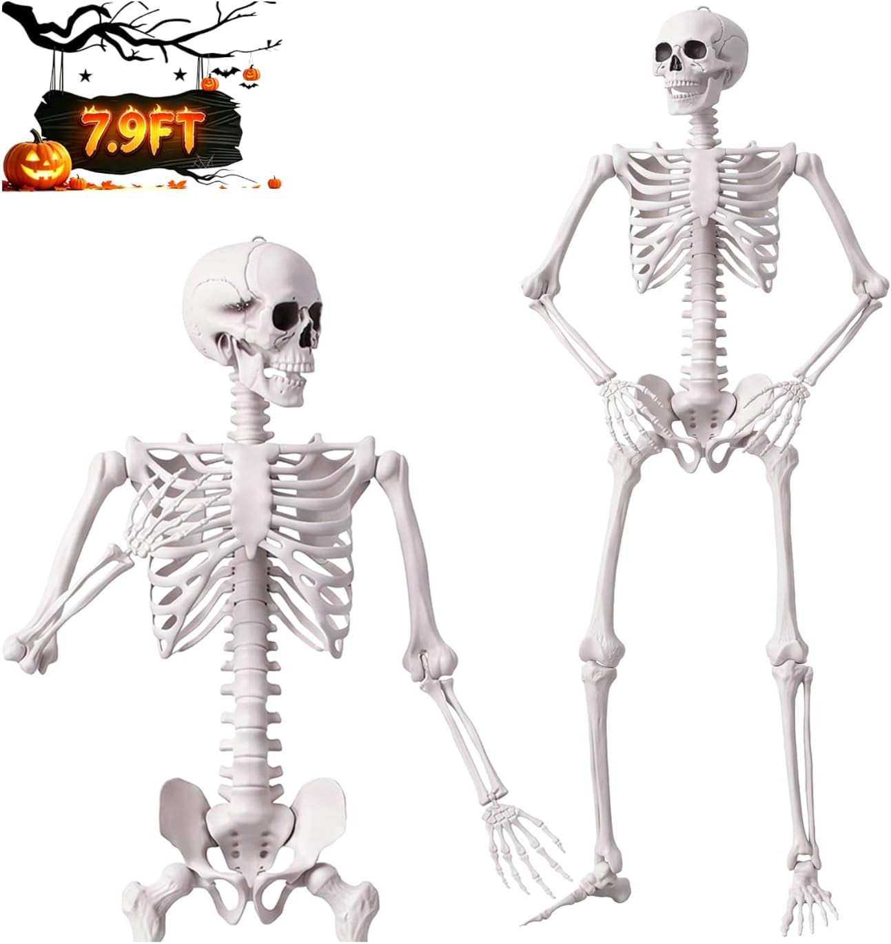 7.9FT/240CM Halloween Giant Oversized Human Skeleton, Tall Outdoor Skeleton
