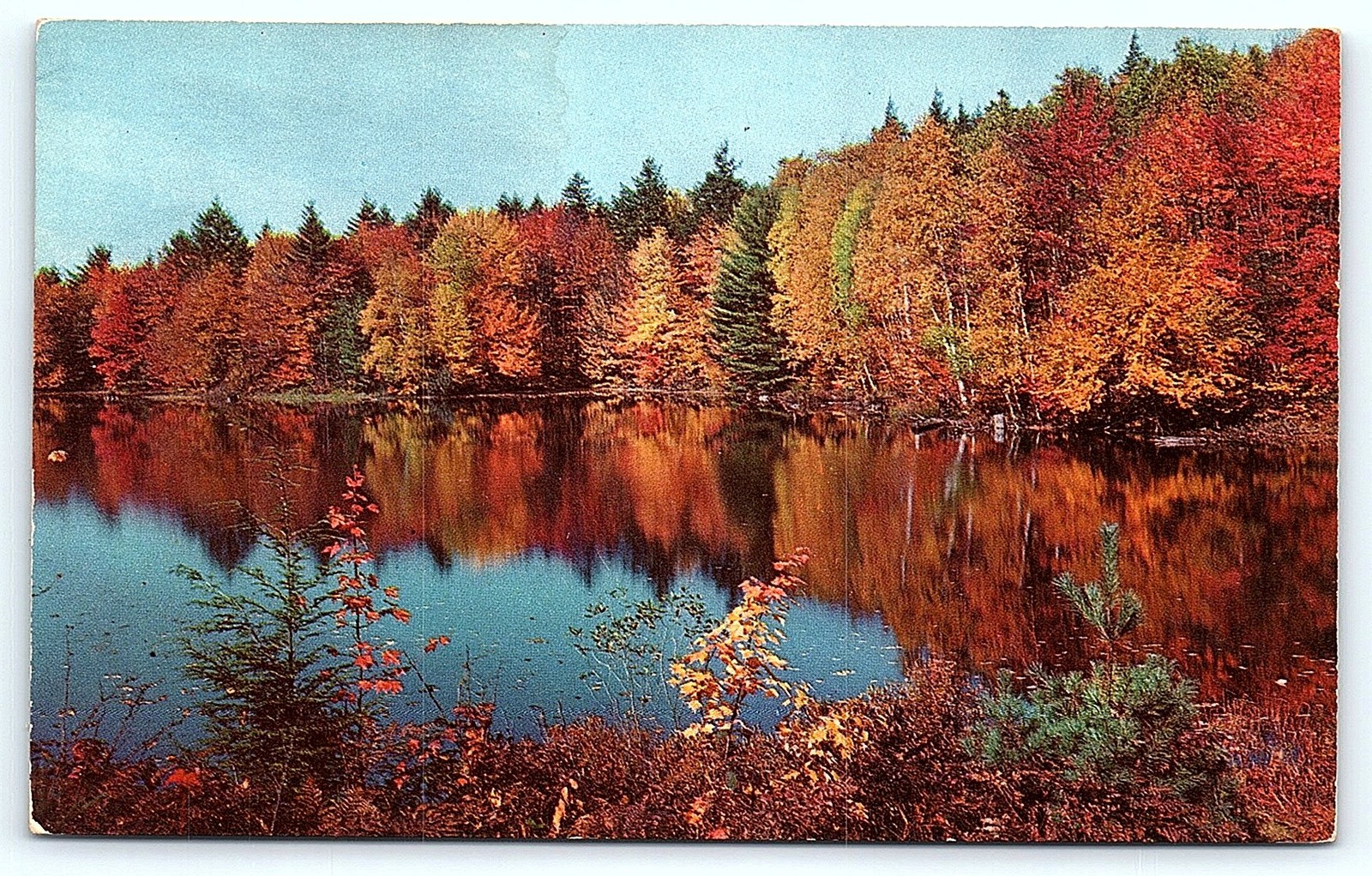 Postcard Autumn nature scene postcard