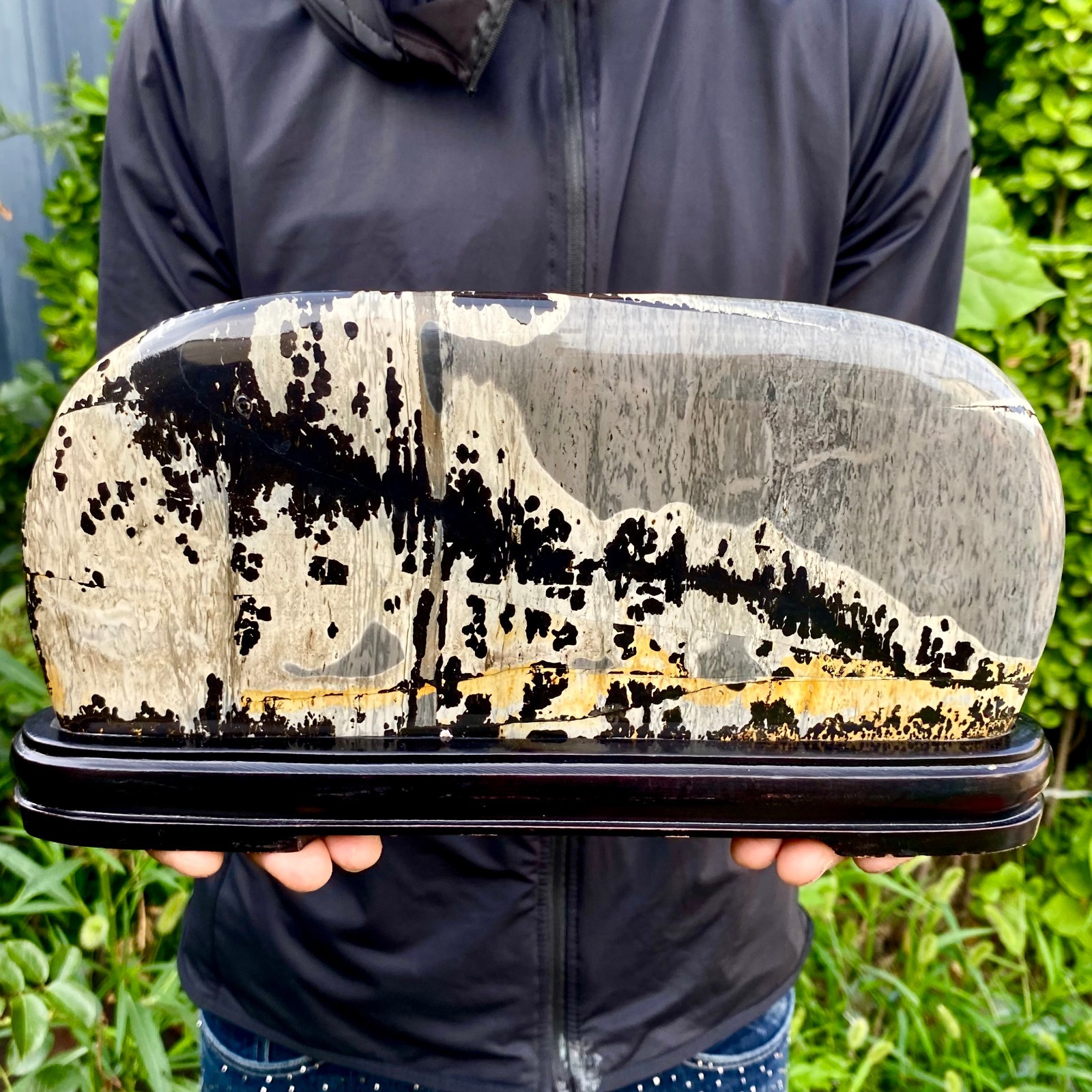 3.52LB Beautiful Natural Chinese Dendritic Limestone Picture Stone Guohua-Rare