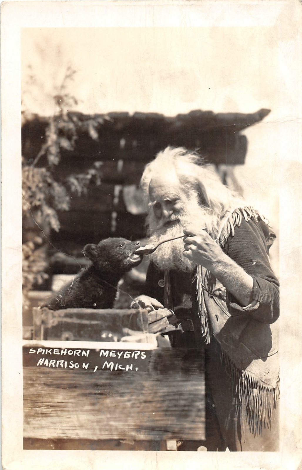 H32/ Harrison Michigan RPPC Postcard c40s Spikehorn Black Bear Den 31