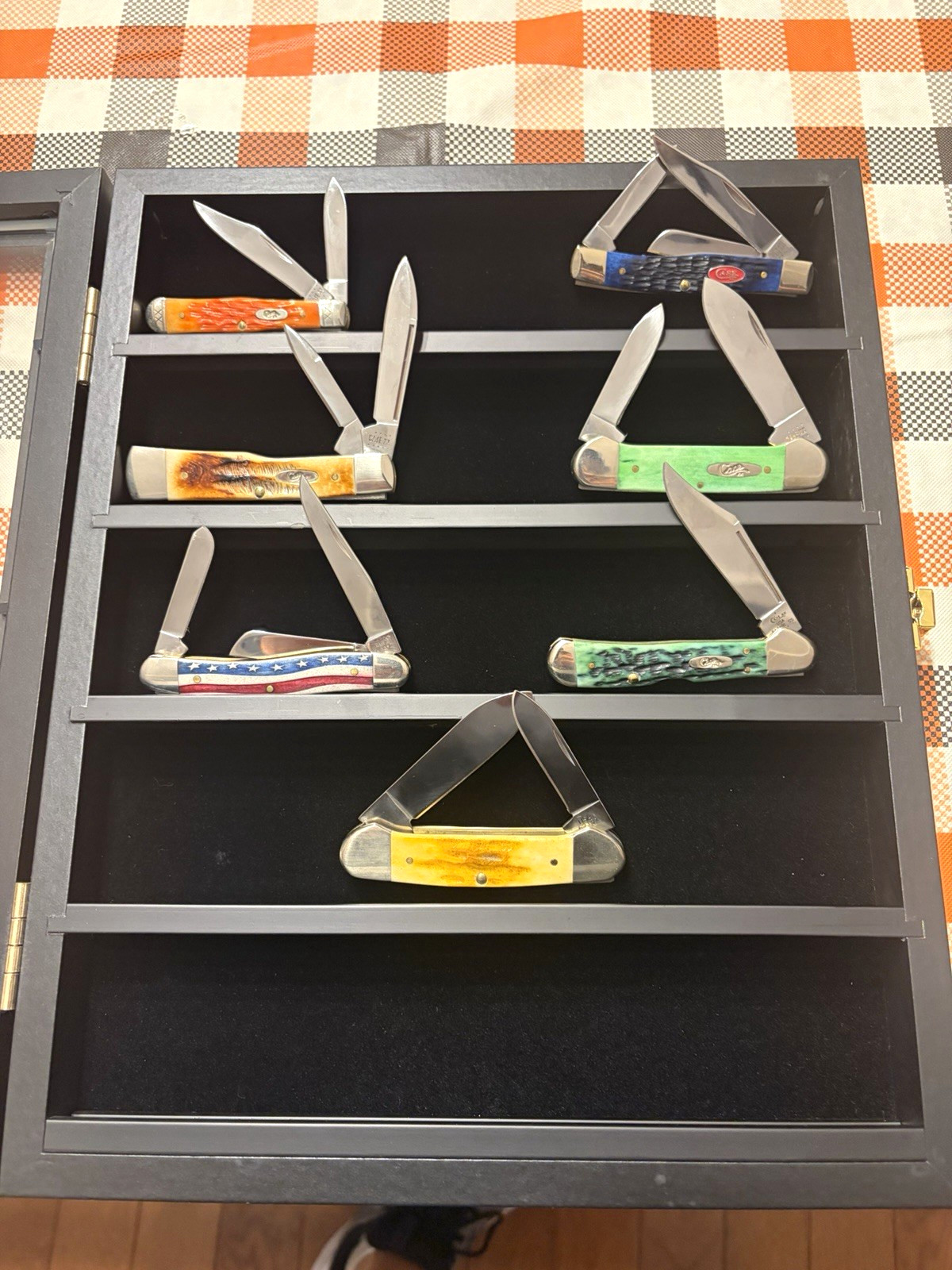 Case Pocketknife Lot of 6 in Display Case, Bone Handles. Includes rare gunstock