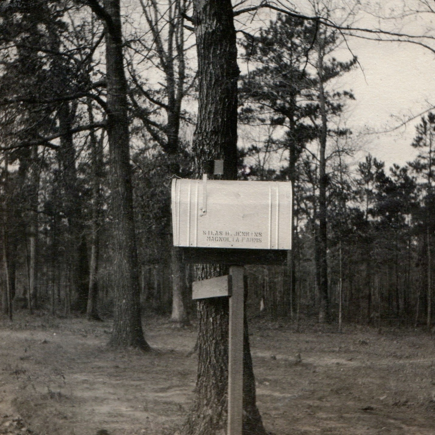 c1930s Silas H Jenkins Magnolia Farms Mailbox Snapshot Photo Rural Roadside Post