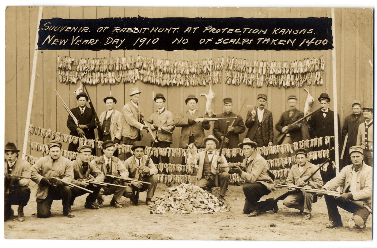 RPPC Rabbit Drive, Severed Ears Bounty Hunt, Protection, Kansas, 1909
