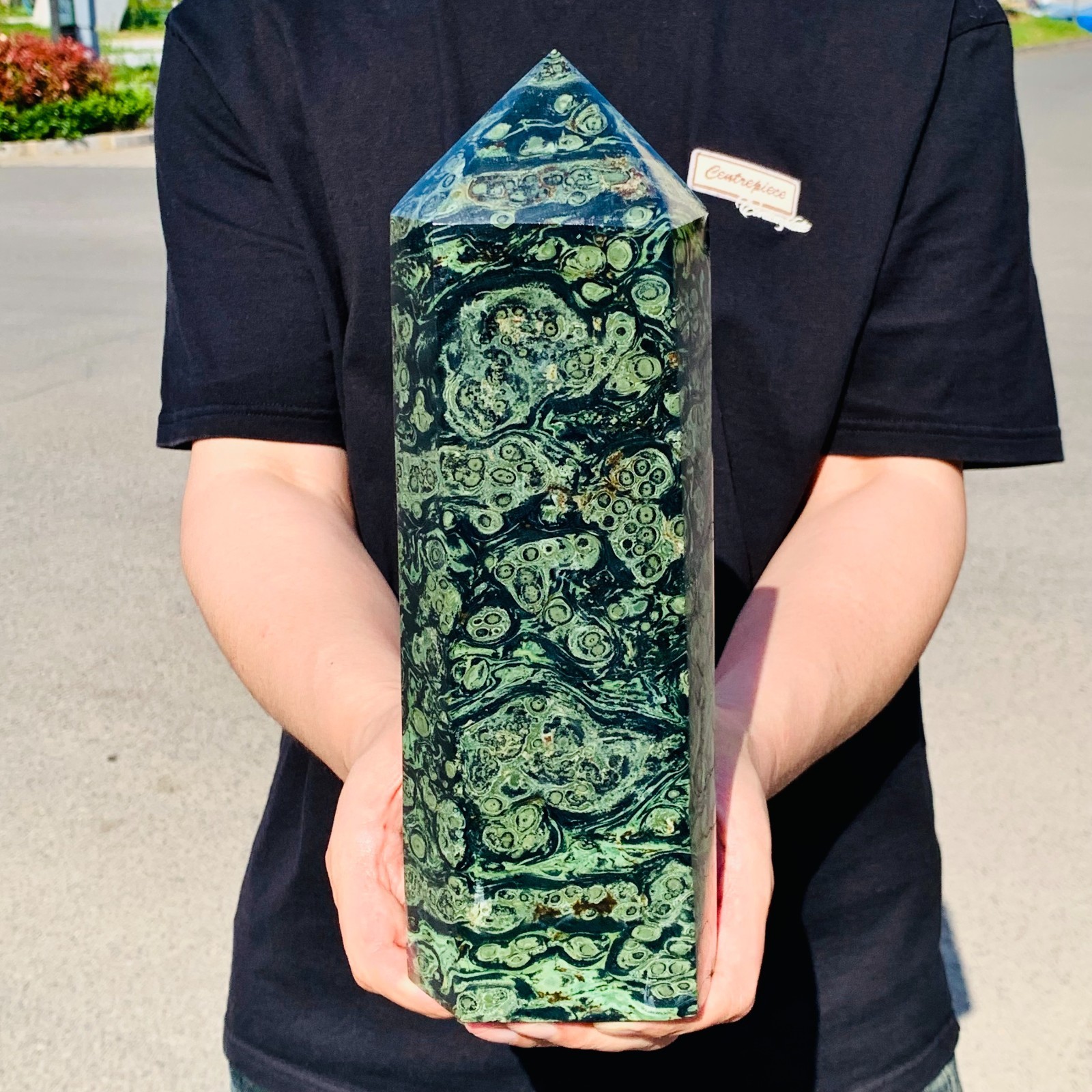 7.7LB Natural green Kambaba jasper obelisk quartz crystal Wand Point Healing