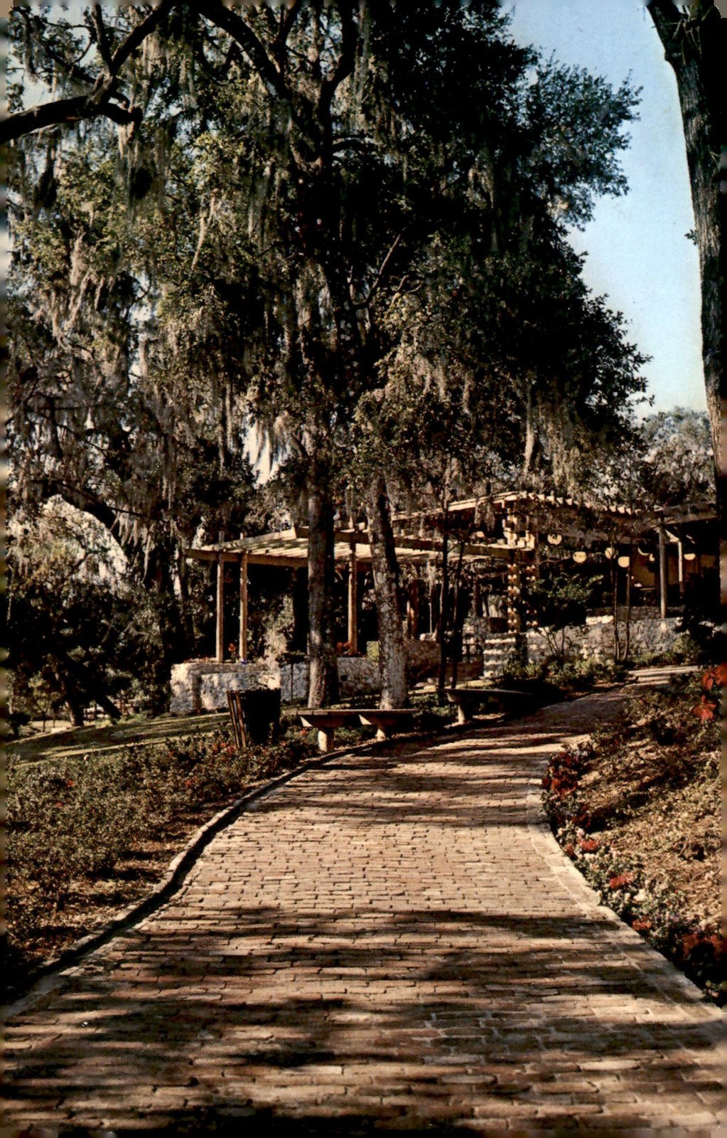 Rainbow Springs, Florida Postcard