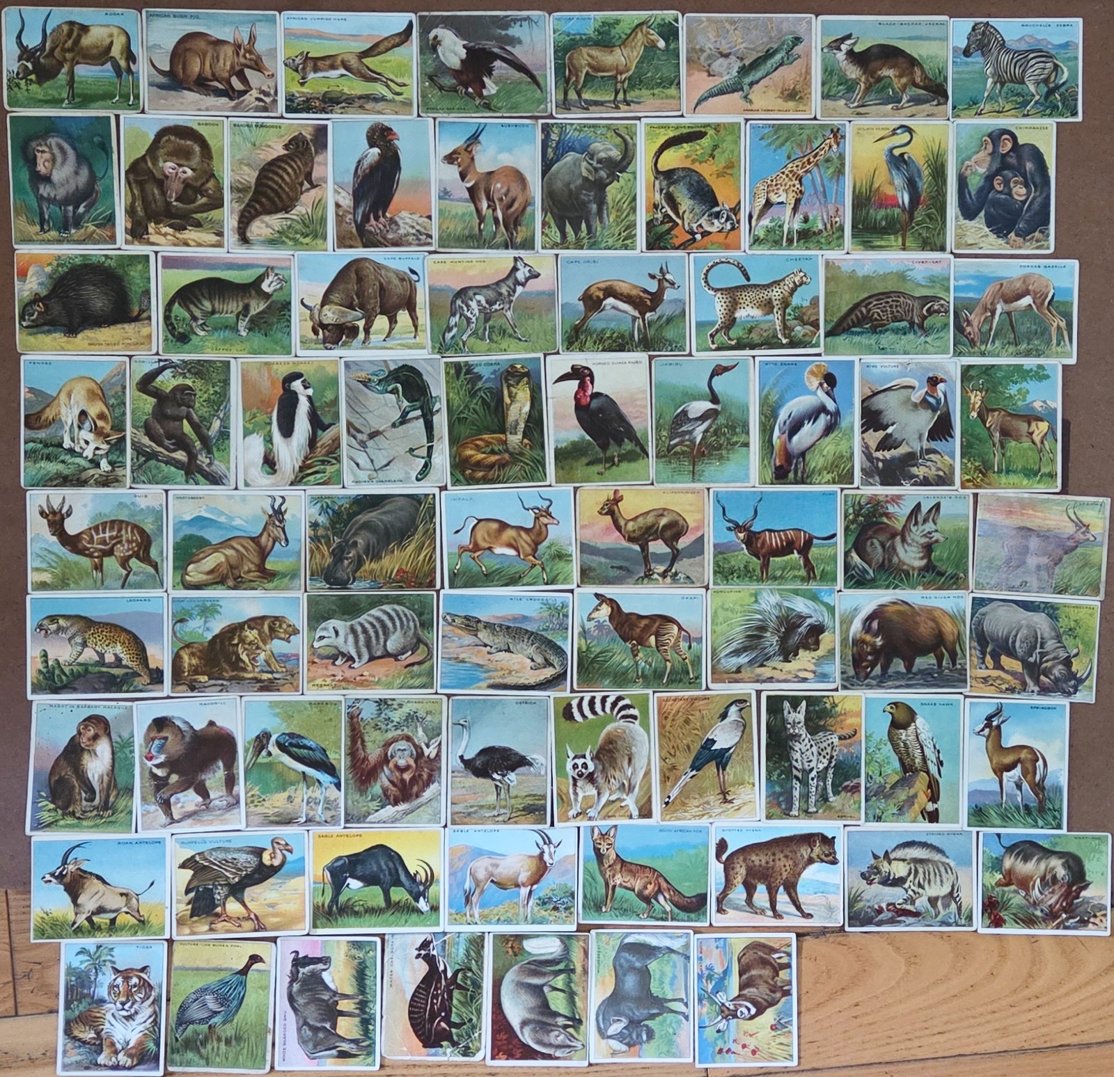 1910 T29 Hassan Animals Series Complete Set P to Ex, majority G-VG