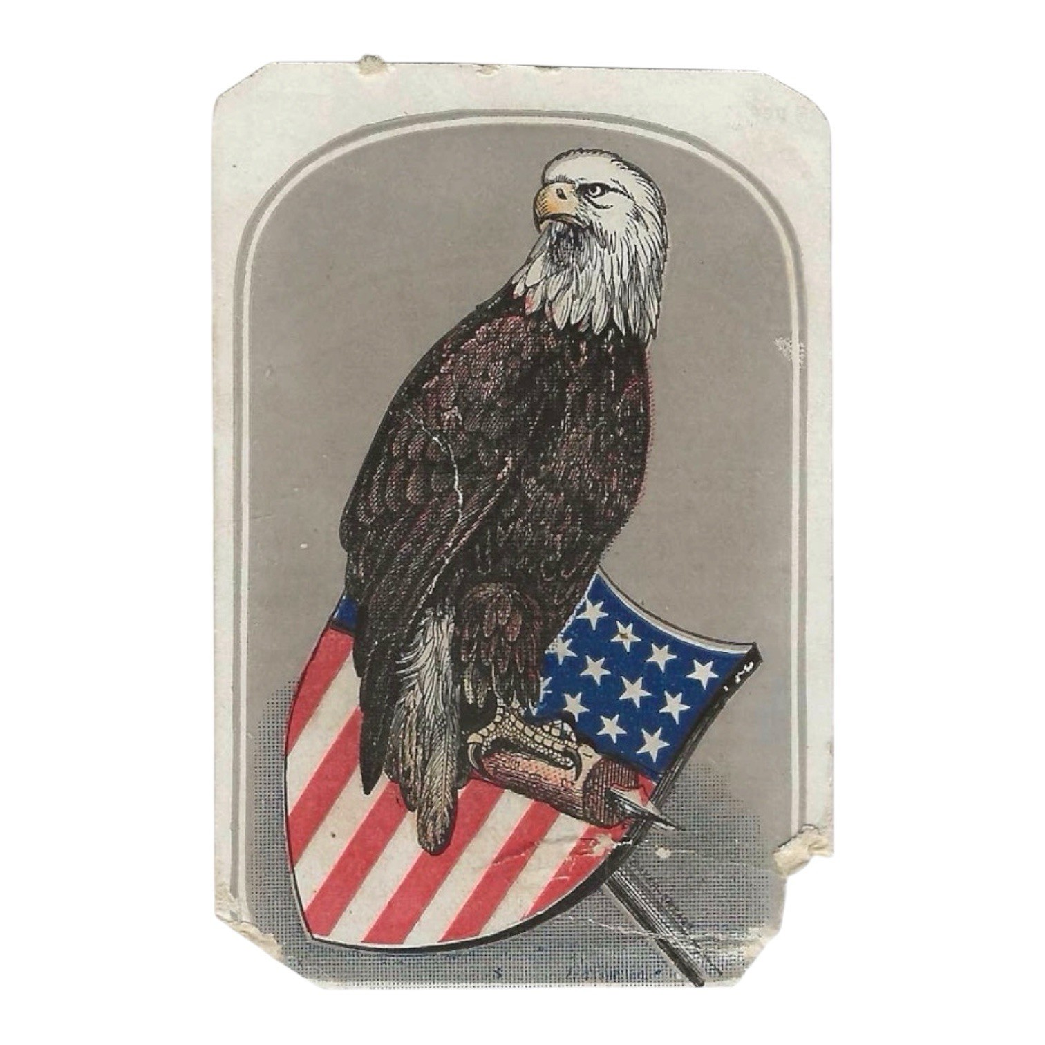 Civil War Old Abe Live Eagle 8th Wisconsin Regiment CDV Hand Colored 1865 As Is