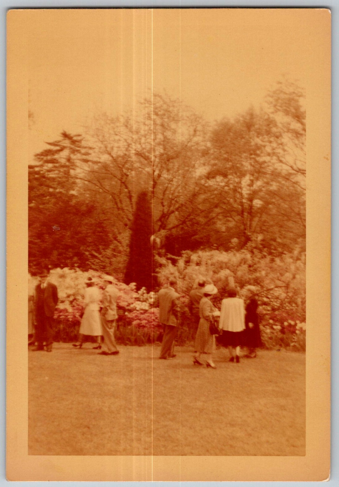 Vtg Color Snapshot Group Walking Botanical Garden Flower Garden Spring Hats