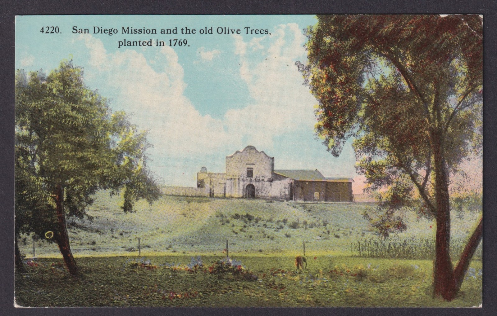 Vintage postcard USA San Diego CA Mission Old Olive Trees California Expo Seal