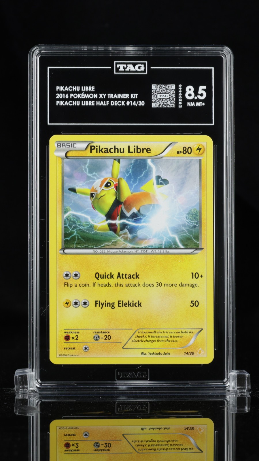 Pokemon TAG 8.5 Pikachu Libre Common 14/30 XY Trainer Kit