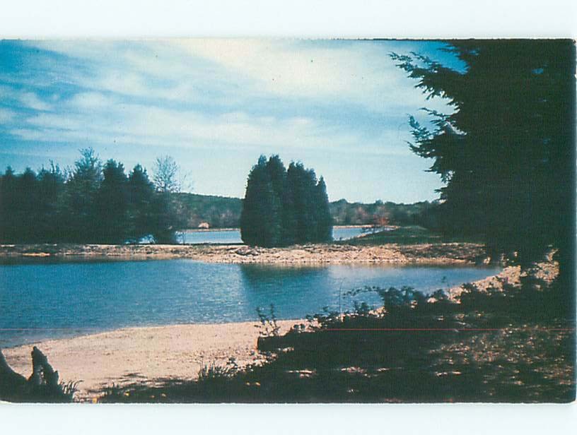 Pre-1980 LAKE SCENE Between Coudersport & Galeton Pennsylvania PA s/06 AE4110