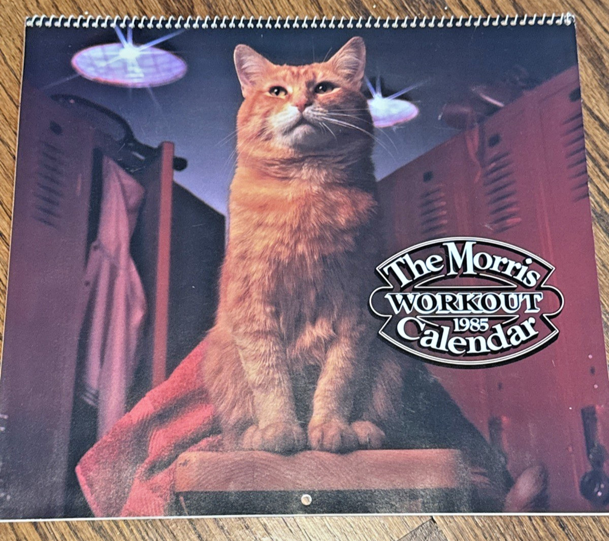 VINTAGE 1985 Morris the Cat The Morris Workout Calendar - 9 Lives