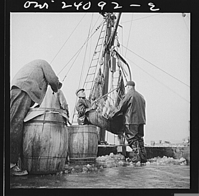 Photo:New York NY 1900s New England Fishermen Unloading Fish from Boat