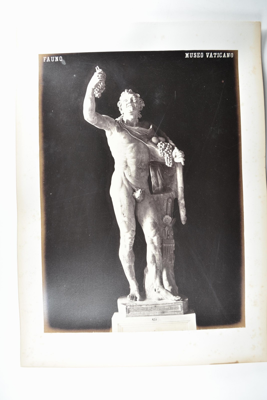 Fauno Statue Museo Vaticano Vatican Museum Rome c1880s VTG Photo