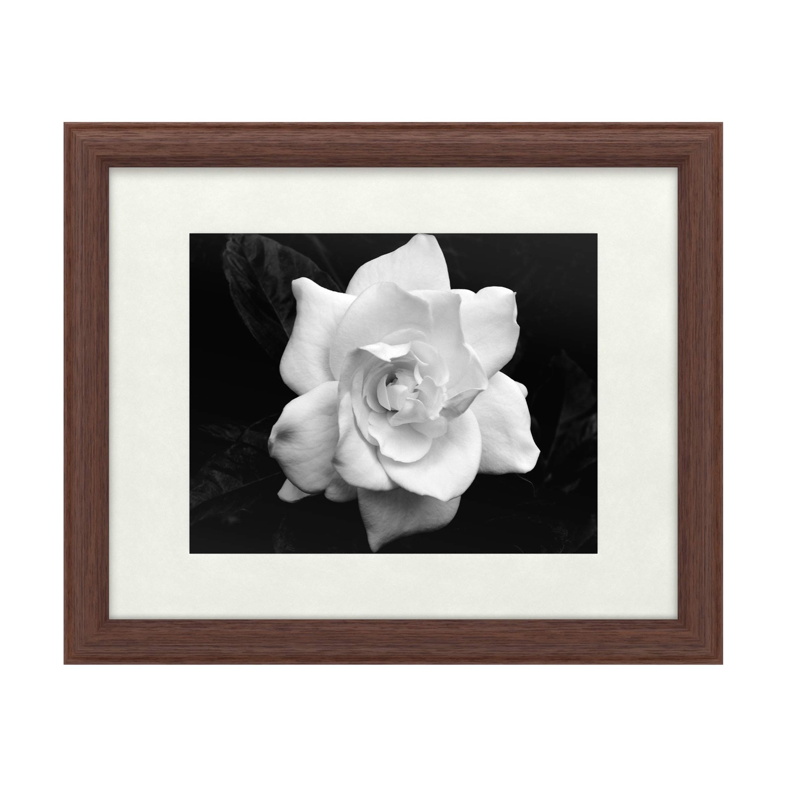 Trademark Fine Art Gardenia by Kurt Shaffer Tan Frame 16x20