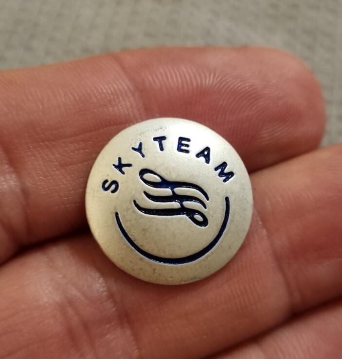 SKYTEAM Pin\'s Rare, Collection, Vintage Collector