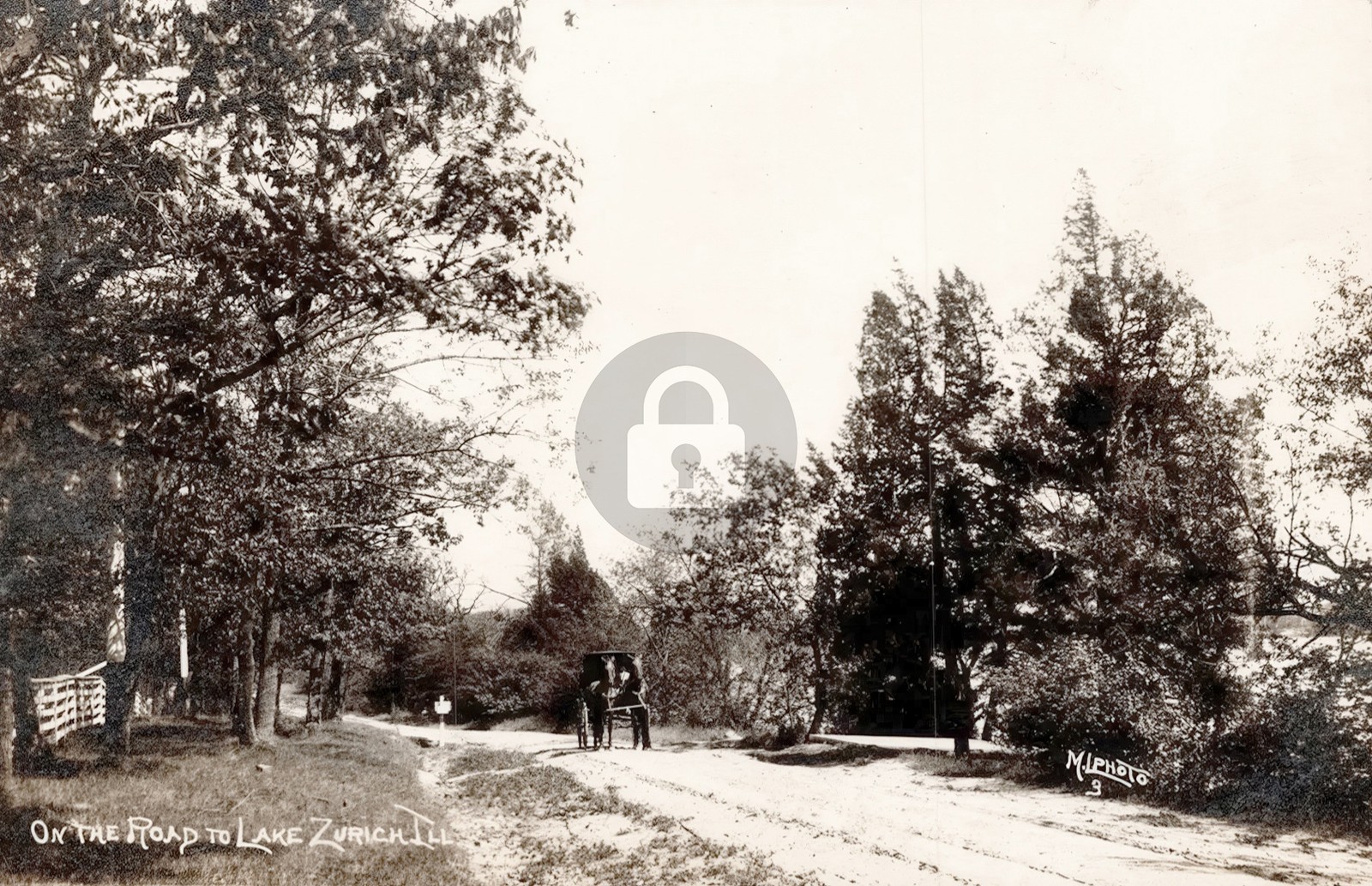 IL Horse Buggy On Road To Lake Zurich Illinois c1910s RPPC Photo Postcard COPY