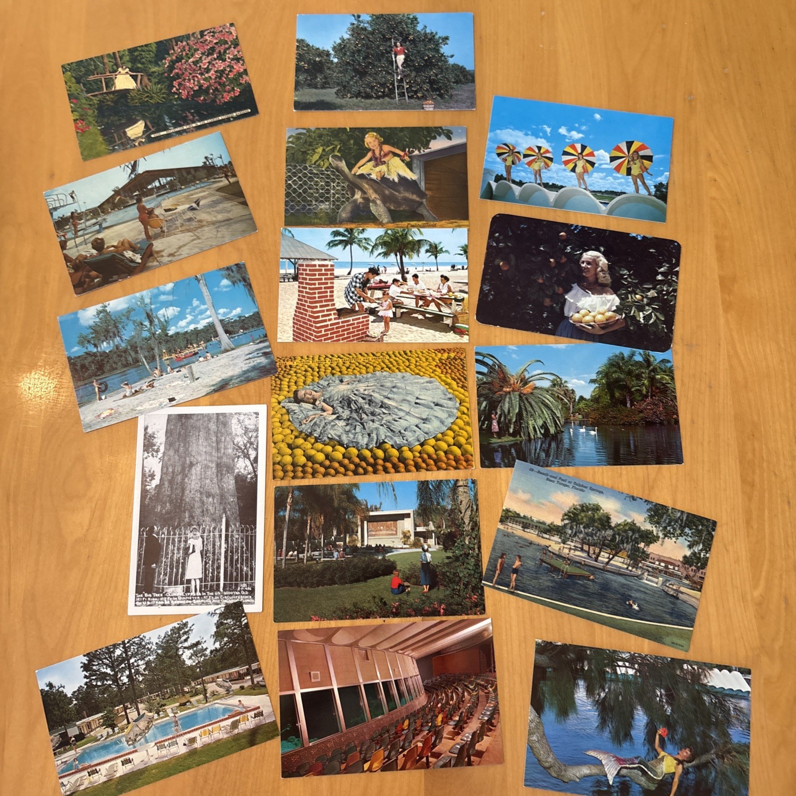 16 Vintage Unused Postcards From Florida. Mermaids Weeki Wachee, & Other Ladies