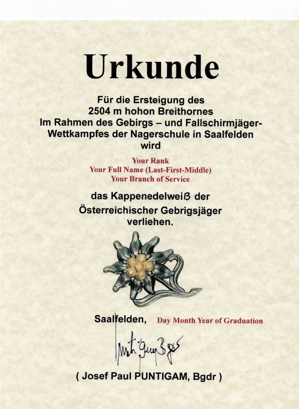 German mountain troops edelweiss badge replacement school certificate