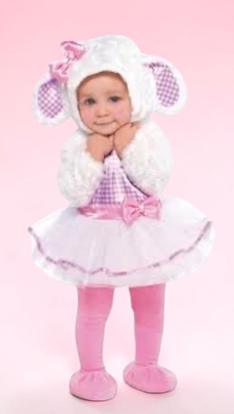 NWT Adorable Amscan Little Lamb Infants Halloween Costume 6-12 Months 5 Pieces