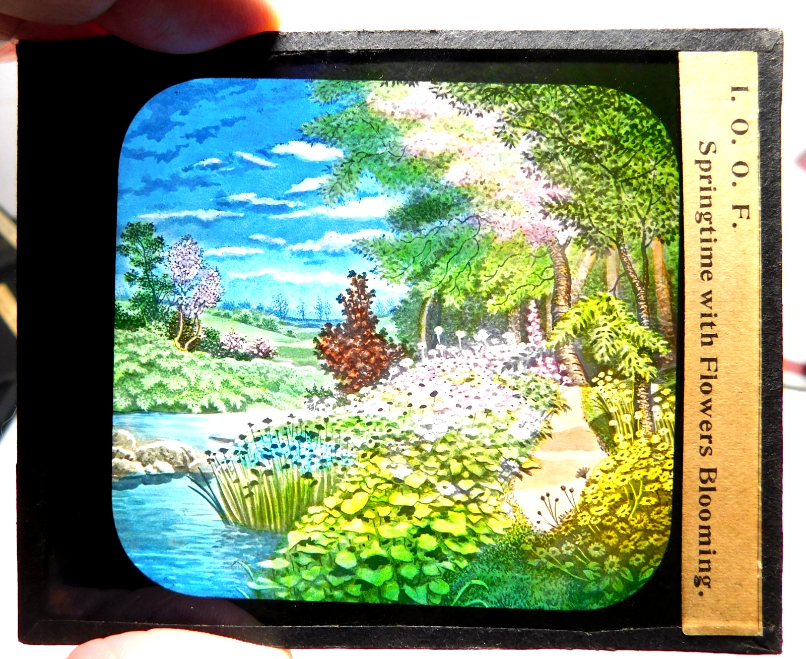 Antique Odd Fellows Magic Lantern Glass Slide/ Springtime with Flowers Blooming