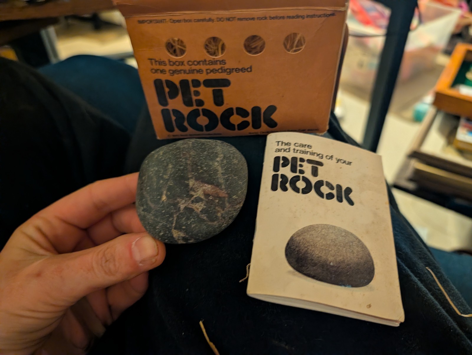 Vintage Original 1975 Pet Rock Complete With Rock Instruction Book and Nest