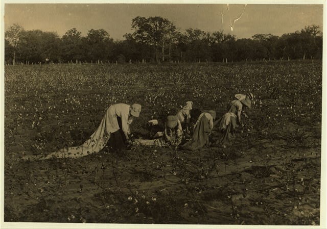 Photo:Bells Texas 1913 Child Cotton Pickers H.M. Lane Farm Lewis Hine