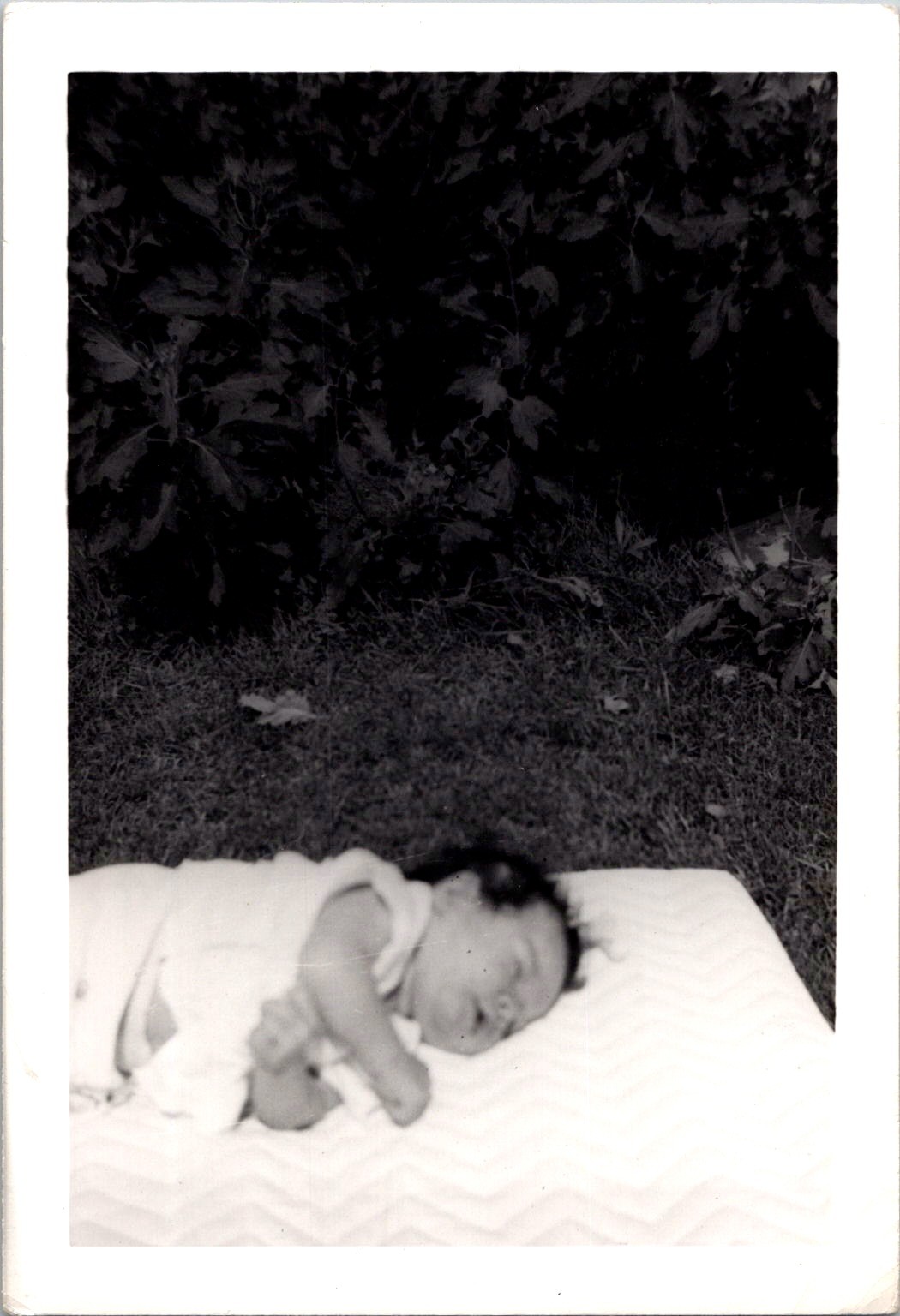 Sleeping Six-Week-Old Baby on Lawn Blanket, 1950s B&W Snapshot Photo