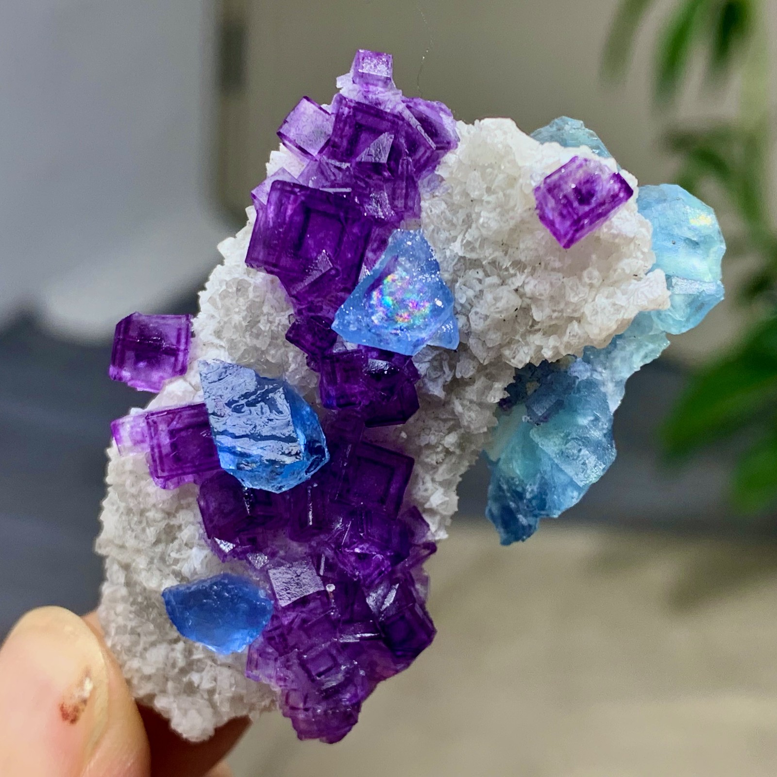 25G Natural beautiful blue purple window frame cubic fluorite mineral crystal*