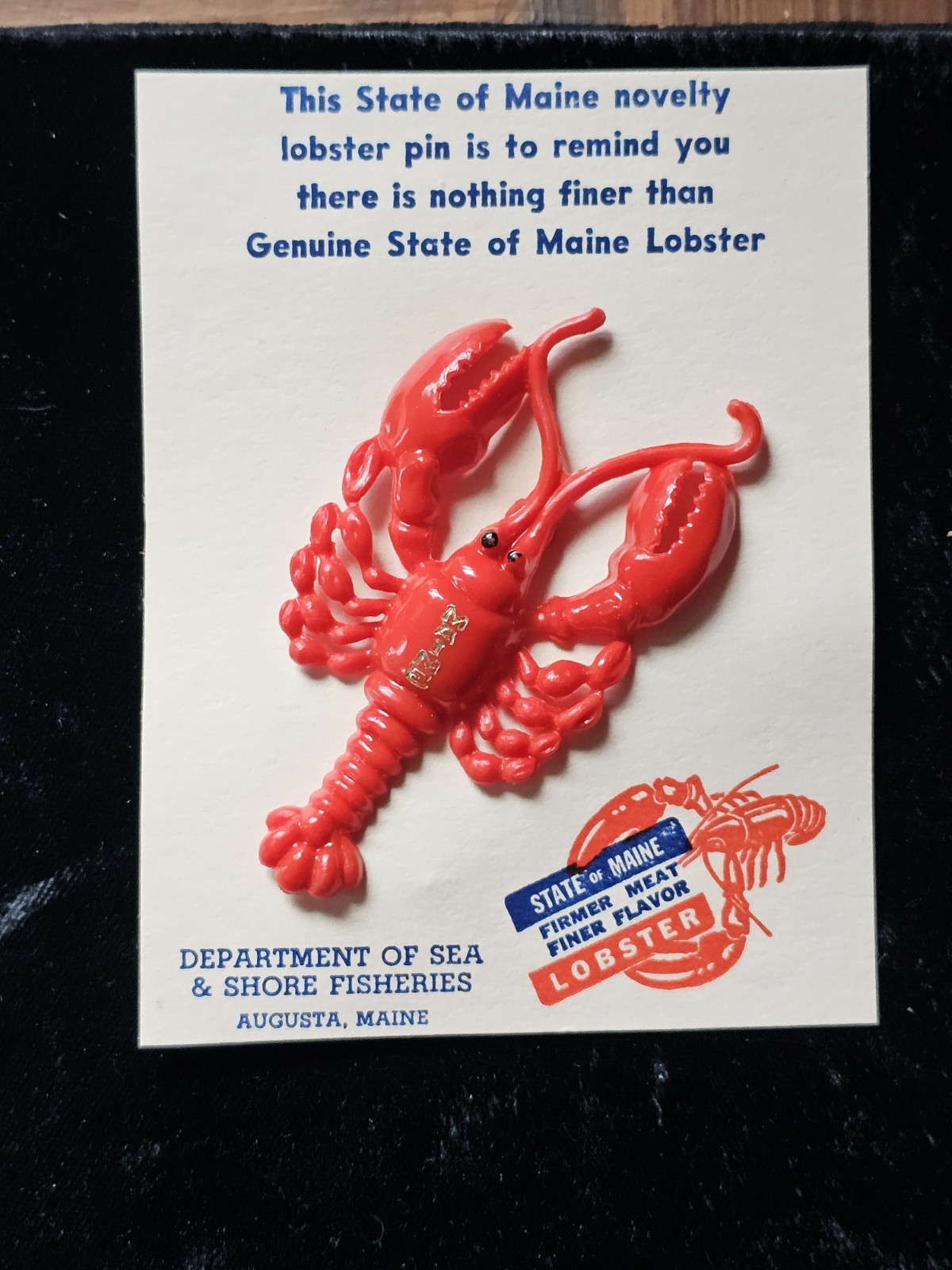 Vtg Maine Lobster Plastic Pin Tourist Souvenir Augusta NOS Mcm Red 2 5/8\