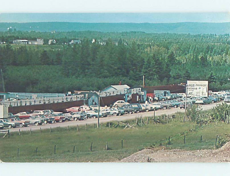 Chrome ZOO SCENE Gaspe Quebec QC AG1648