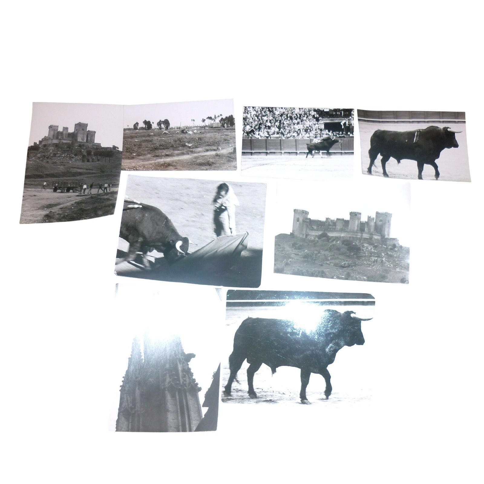 Lot 8 Vintage 1971 Seville Spain Photos Bullfight Matador Castle Las Aguzaderas