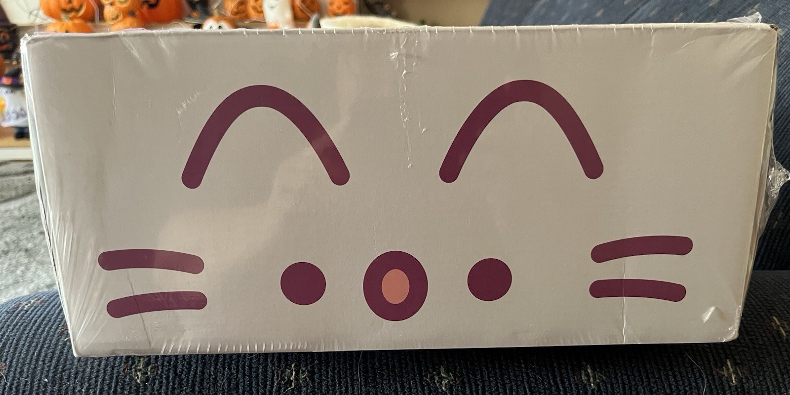 Brand New and Sealed Pusheen Fall 2026 Subscription Box ( Size 3X)