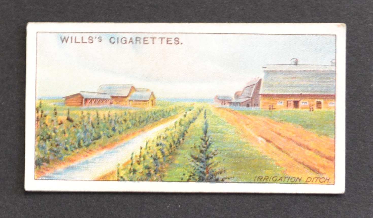 1914 Wills\'s Overseas Dominions Canada Cigarette Card No. 23 Irrigation Ditch