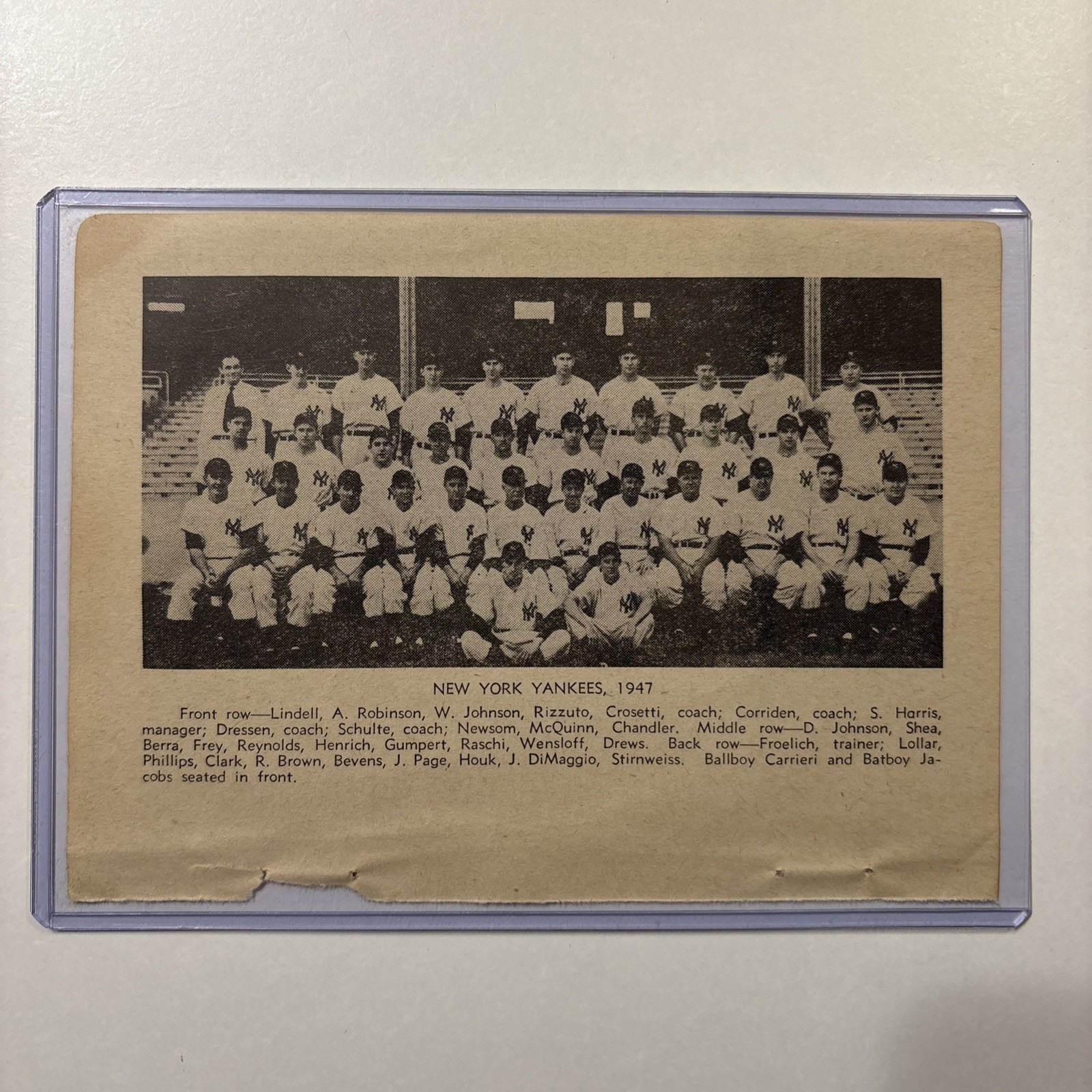 1947 New York Yankees Team Picture Vintage Baseball Joe DiMaggio & Phil Rizzuto